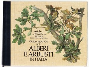 Guida pratica agli alberi e arbusti in Italia