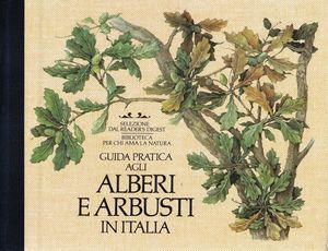 Guida pratica agli alberi e arbusti in Italia