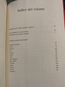 Filosofia. Classici Antichi e Moderni - Vol. 23 - Platone. Dialoghi Filosofici
