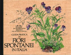 Guida Pratica ai Fiori Spontanei in Italia