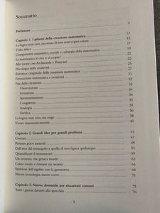 La creatività matematica. Come funzionano le menti straordinarie