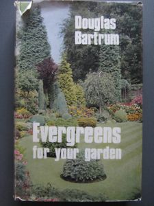 Evergreens For Your Garden
