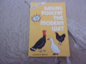 Raising Poultry the Modern Way