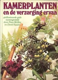 Kamerplanten En De Verzorging Ervan