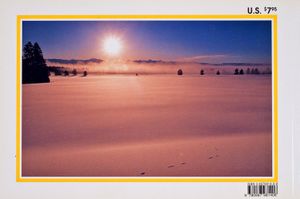 Yellowstone Winterscapes