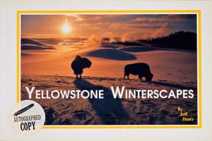 Yellowstone Winterscapes