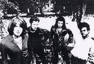 The Hinnies