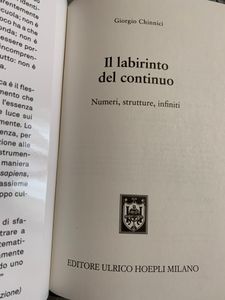 Il labirinto del continuo. Numeri, strutture, infiniti