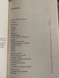 Il labirinto del continuo. Numeri, strutture, infiniti