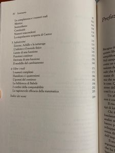 Il labirinto del continuo. Numeri, strutture, infiniti
