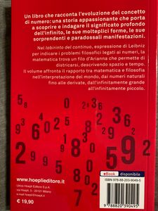 Il labirinto del continuo. Numeri, strutture, infiniti
