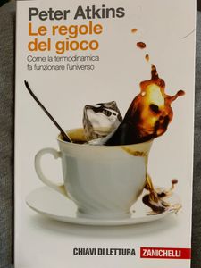 Le regola del gioco. Come la termodinamica fa funzionare l'universo