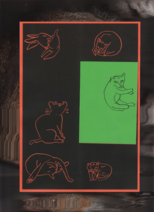 Als Katze Kann Sie Leider Nicht So Viel