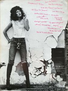 Punk Rock 'N' Roll/New Wave