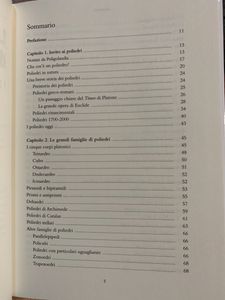 Le Mille Sfaccettature Della Bellezza Geometrica. I Poliedri