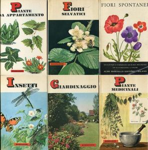 Piccole Guide Mondadori