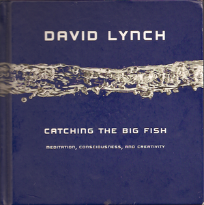 Catching the Big Fish: Meditation, Consciousness, and Creativity