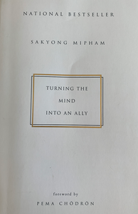 Turning the mind into an ally