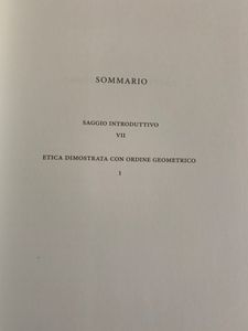 I Grandi Filosofi - Spinoza I