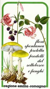 Flora spontanea protetta prodotti del sottobosco e funghi