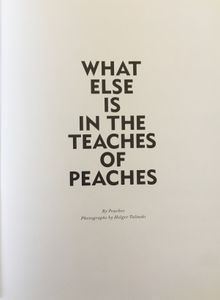 What Else Is In The Teaches Of Peaches