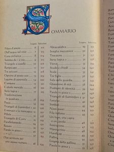 Il Grande Libro Degli Enigmi. Giochi Logici, Rompicapi E Indovinelli Vol. I