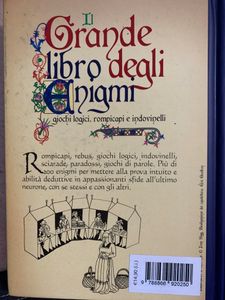 Il Grande Libro Degli Enigmi. Giochi Logici, Rompicapi E Indovinelli Vol. I
