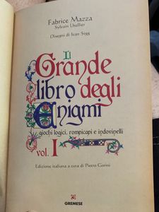 Il Grande Libro Degli Enigmi. Giochi Logici, Rompicapi E Indovinelli Vol. I
