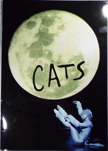 Cats