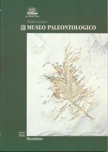 Museo paleontologico: Mondaino