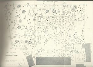 Guida dell'orto botanico dell'Università degli studi di Parma