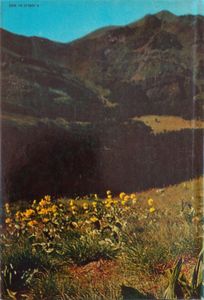 Flowers of Europe. A Field Guide.