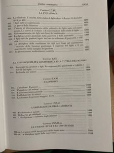 Manuale Di Diritto Privato