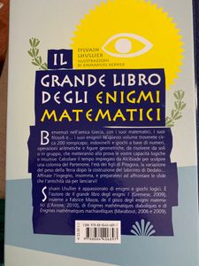 Il Grande Libro Degli Enigmi Matematici. Rompicapo E Giochi Logici