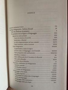 I grandi filosofi - Wittgenstein I