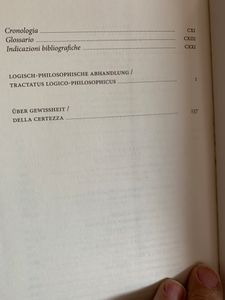 I grandi filosofi - Wittgenstein I
