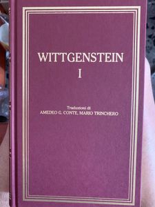 I grandi filosofi - Wittgenstein I