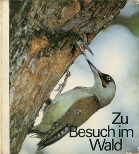 Zu Besuch im Wald