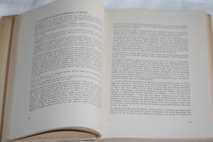 Livre blanc sur la politique díntervention americano-britanique en allemagne occidentale et la resurrection de imperialisme allemand