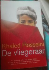 De Vliegeraar
