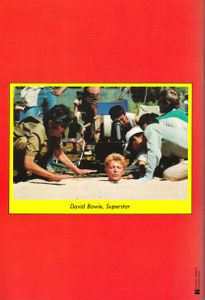 De Superstars Van De Muziek : David Bowie Nr.1