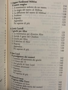 Il Matematico Si Diverte.Duecento Giochi Ed Enigmi Che Hanno Fatto La Storia Dell'Umanità