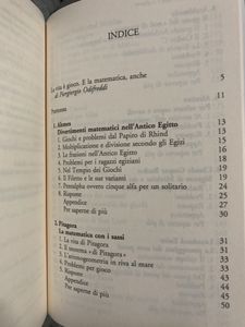 Il Matematico Si Diverte.Duecento Giochi Ed Enigmi Che Hanno Fatto La Storia Dell'Umanità