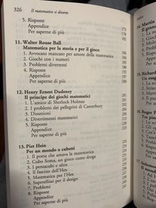 Il Matematico Si Diverte.Duecento Giochi Ed Enigmi Che Hanno Fatto La Storia Dell'Umanità