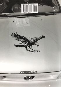 Infinite Brown Eagle Vol. 1