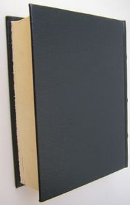 El Libro De Las Tierras Vírgenes