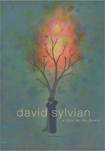 David Sylvian Trophies 3 A Fire in the Forest