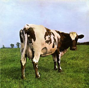 Atom Heart Mother (album)