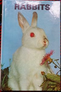 Rabbits