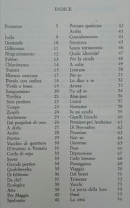 Incontrarci
